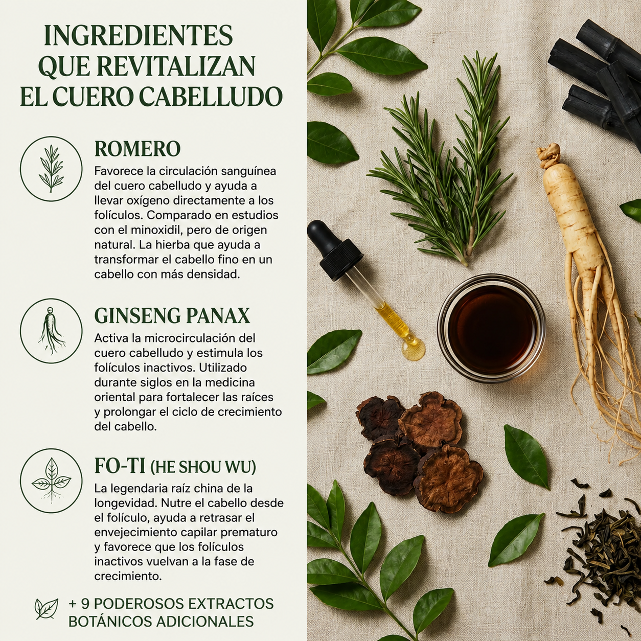 Shampoo Sólido Coreano — Detené la Caída y Revitalizá tu Cuero Cabelludo